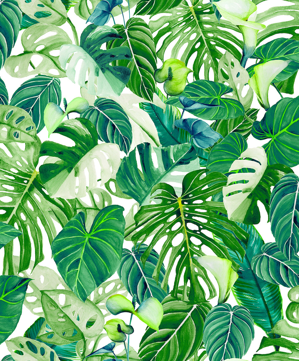 Spirit of Jungle - Lush Foliage botanical wallpaper Marburg Roll Green  47415