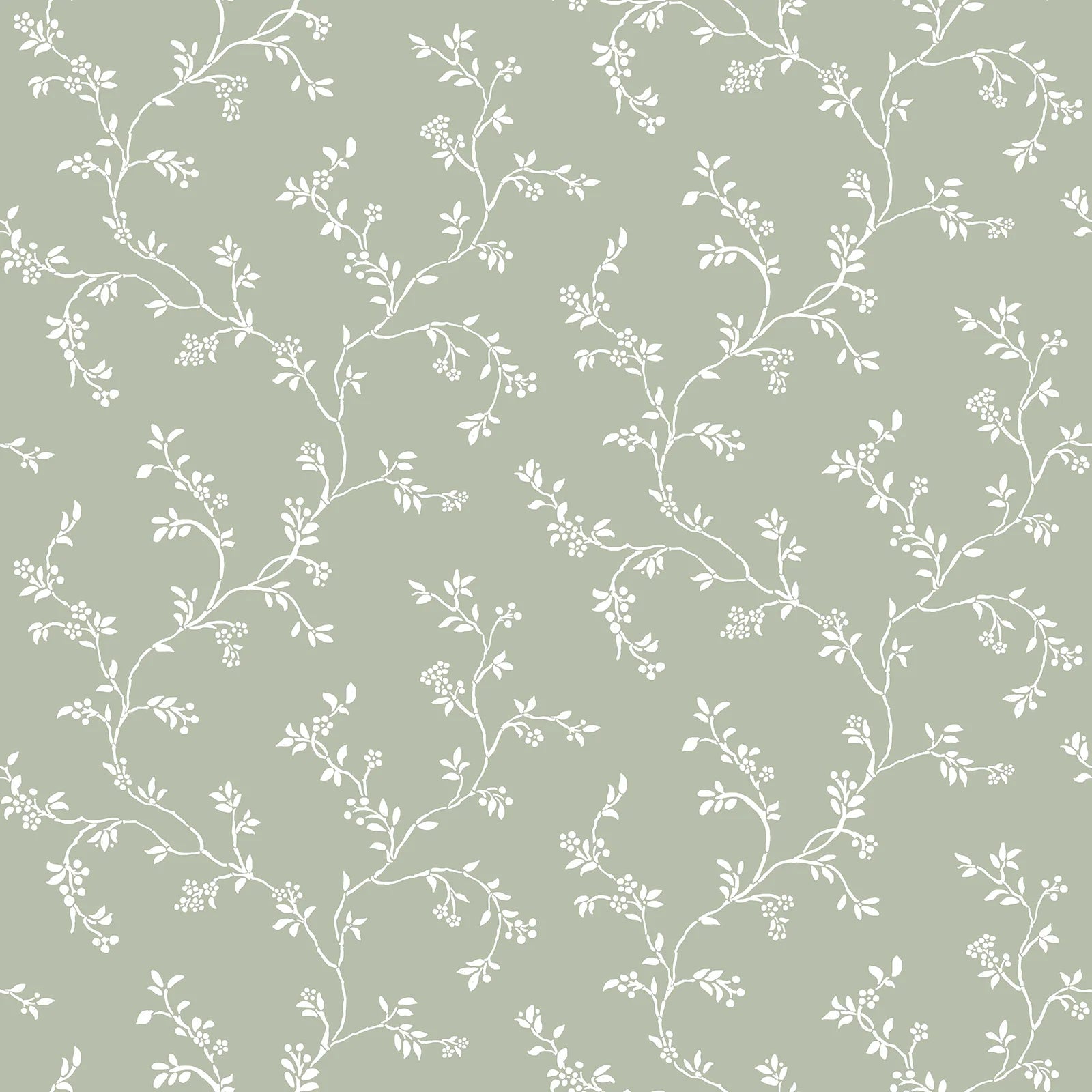 Fiori Country - Vines botanical wallpaper Parato Roll Green 12355